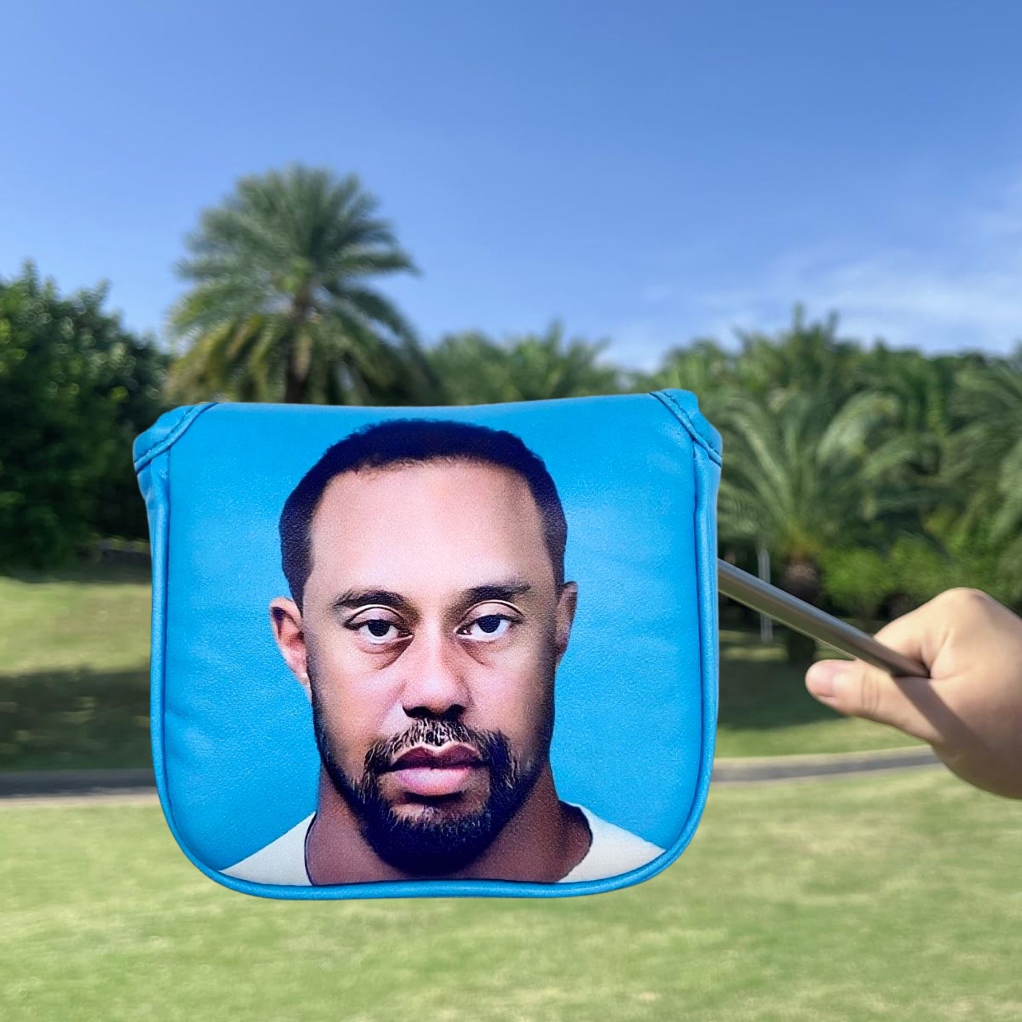 Penutup Kepala Putter Golf Luc - Golf Putter ulasan dan harga